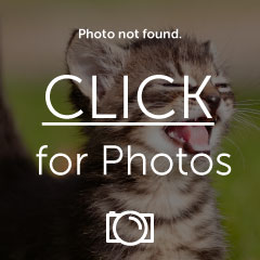 IMG_5641_zps0aa10f9d.jpg IMG_5641_zps0aa10f9d.jpg