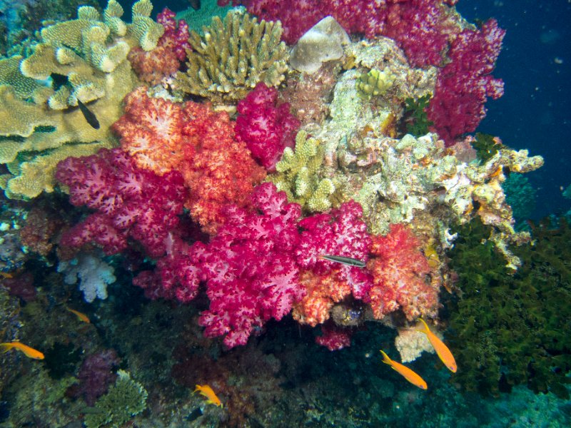 IMG_6300.jpg