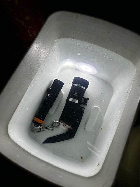IMG_8815.jpeg IMG_8815.jpeg