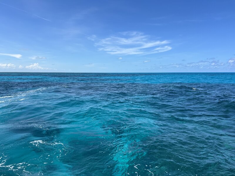 IMG_9840.jpeg