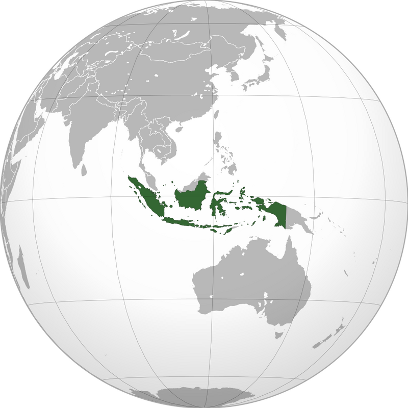 Indonesia_(orthographic_projection).svg.png