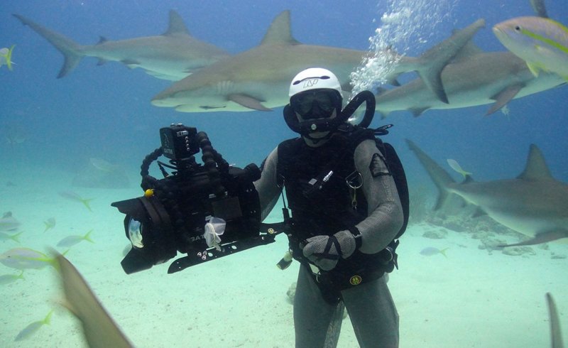 Johnathan Argonaut Sharks.jpg