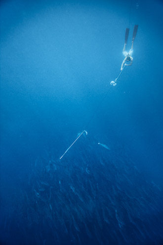 Jorg-Badura-05-Spearfishing-th.jpg