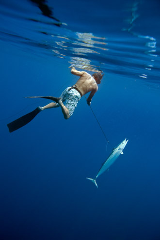 Jorg-Badura-06-Spearfishing-th.jpg