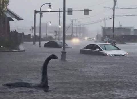 Loch Ness flood.jpg