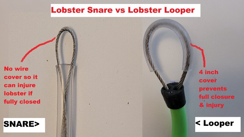 Loop_vs_Snare_Finl.jpg