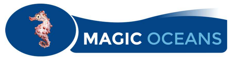 Magic O logo.png