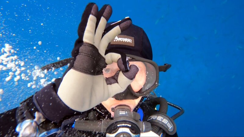 Malpelo 2021_Moment.jpg Malpelo 2021_Moment.jpg