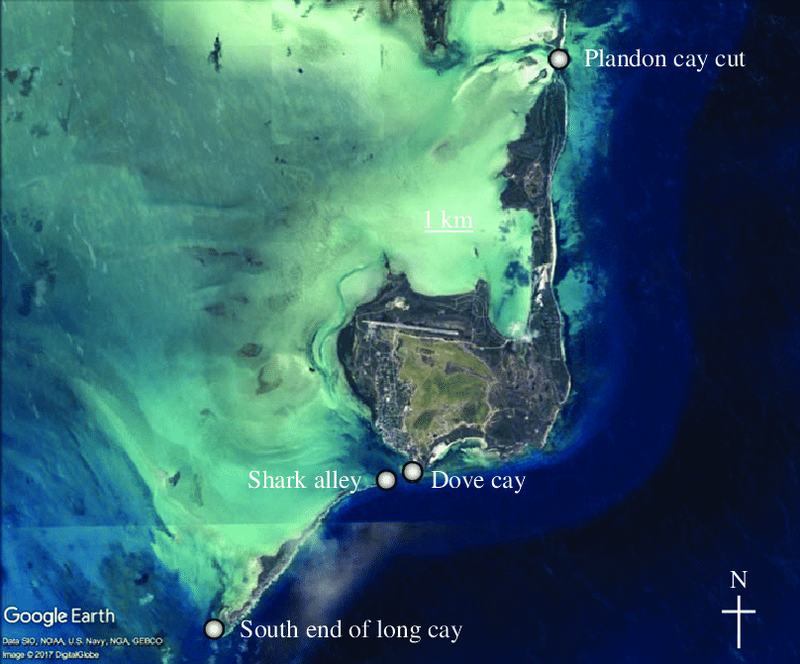 Map-of-the-primary-study-sites-around-South-Caicos-copied-from-Google-Earth.png