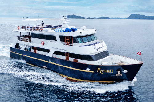 Mermaid I-01.jpg