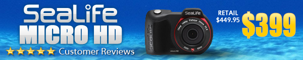 micro-hd-banner.jpg micro-hd-banner.jpg