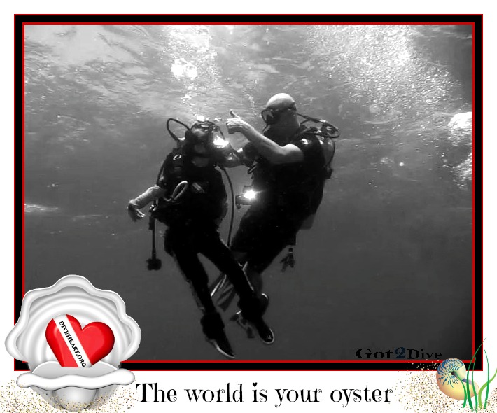 MVI_9668-1 The world is your oyster complete.jpg