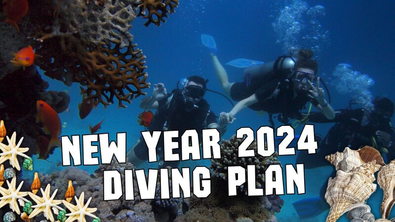 New year diving plan.jpeg