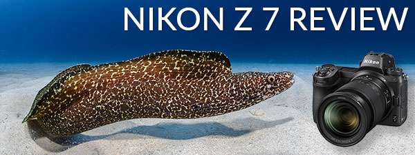 Nikon_Z7_Underwater_Review_Jim_Decker_Banner.jpg