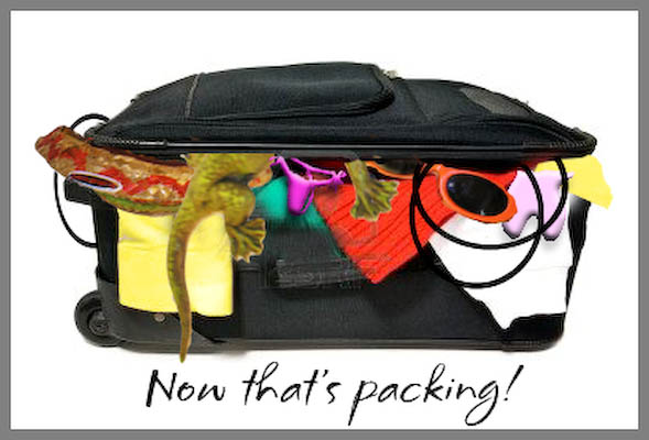 Now that's packing-2.jpg