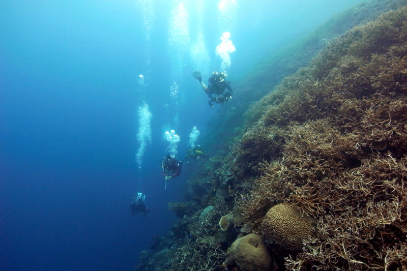Nusa Laut 1.JPG