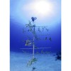 Ocean-Frontiers-Coral-100x100.jpg