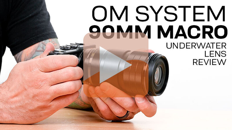OM-90MM-MACRO-LENS-REVIEW-THUMBNAIL-Play-Button-A.jpg