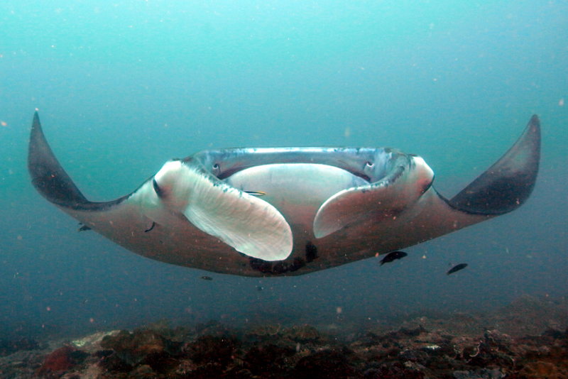 om1828982.jpg