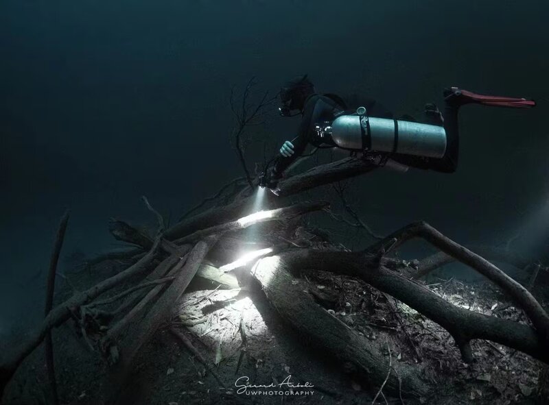 orca torch D630.jpg orca torch D630.jpg