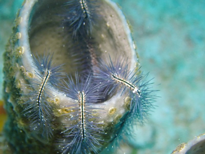 P1290078~2.JPG