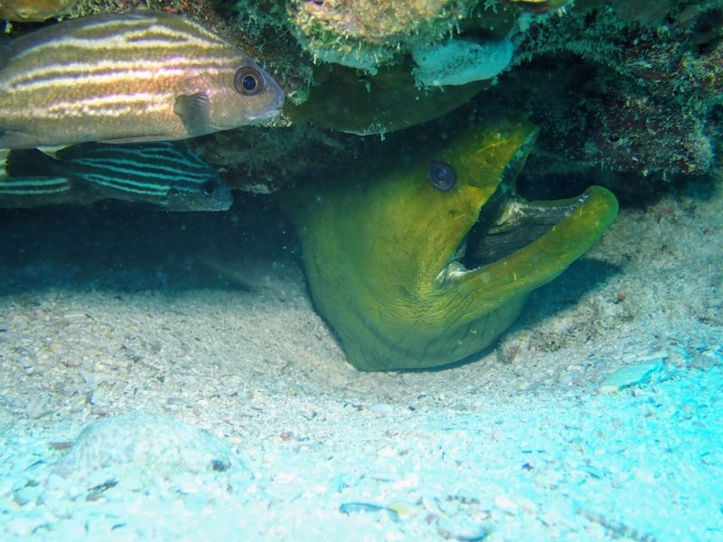 P1290123~2.JPG
