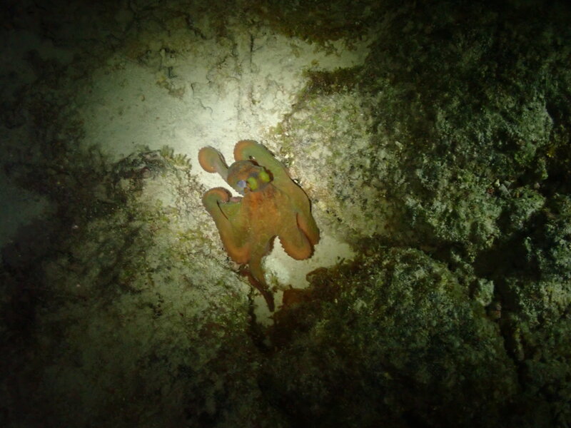 P2050130.JPG