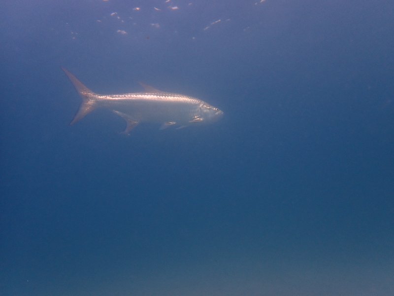 P7080028.JPG