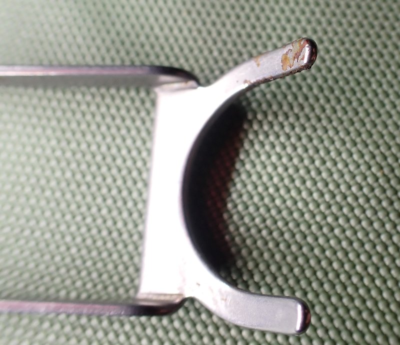 P9170074_crop.JPG
