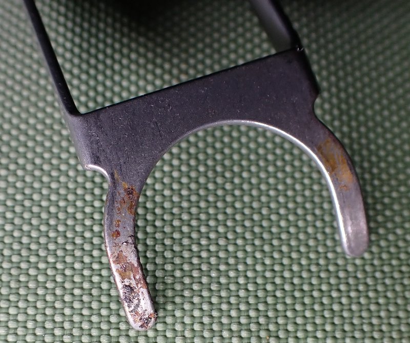 P9170106_crop.JPG