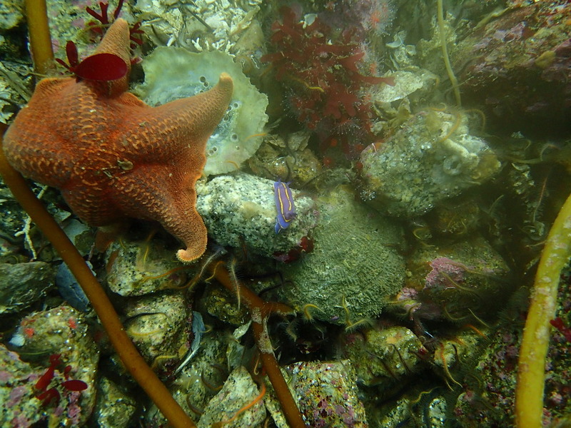PA150186.jpg PA150186.jpg