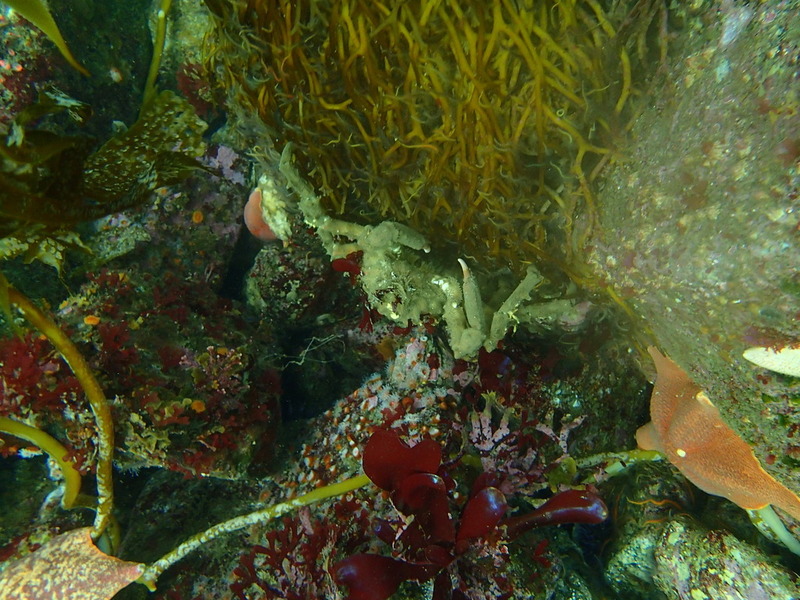 PA150192.jpg PA150192.jpg
