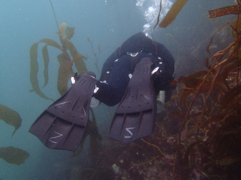 PA150217.jpg PA150217.jpg