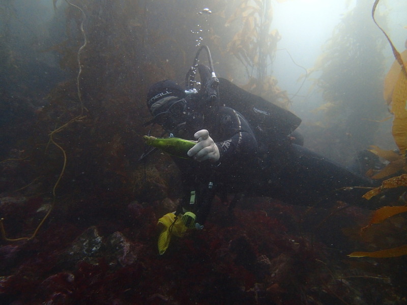 PA150226.jpg PA150226.jpg