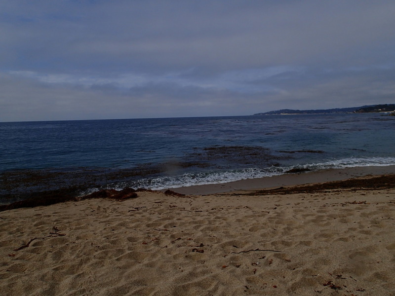 PA160253.jpg PA160253.jpg
