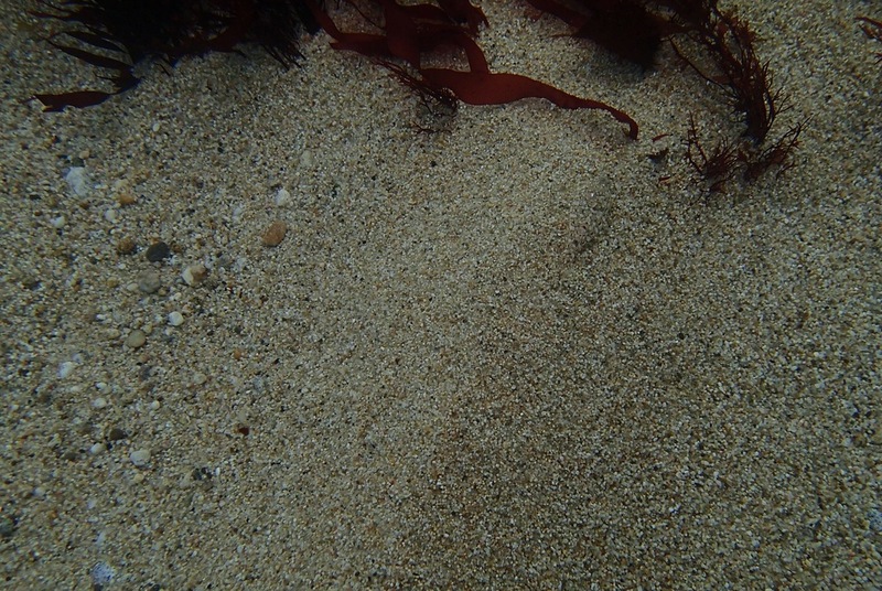 PA160261.jpg PA160261.jpg