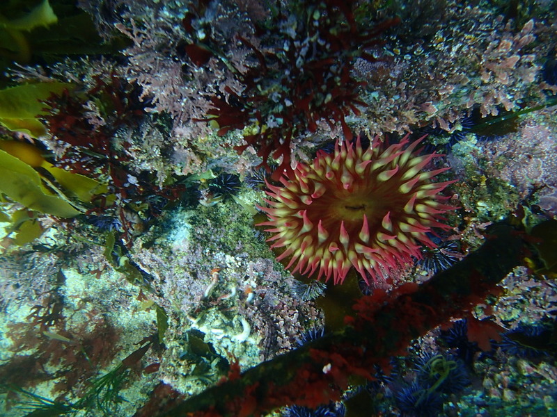 PA160266.jpg PA160266.jpg