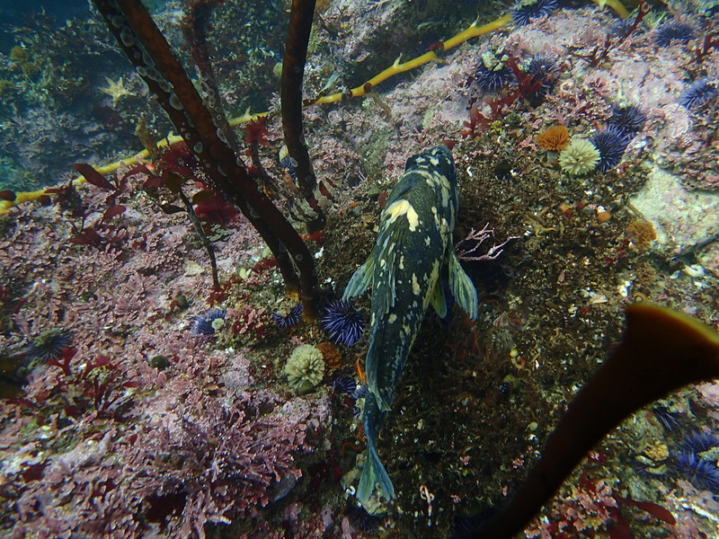 PA160274.jpg PA160274.jpg