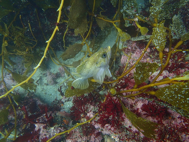 PA160299.jpg PA160299.jpg