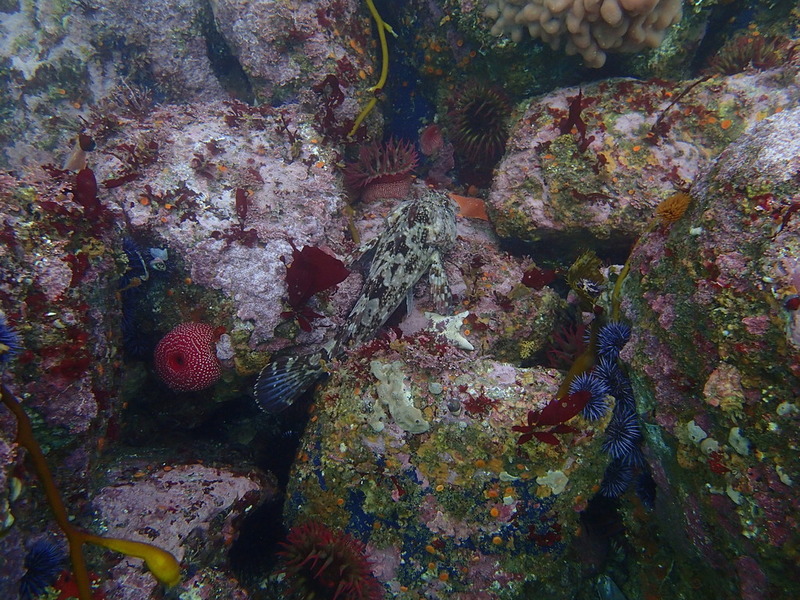 PA160327.jpg PA160327.jpg