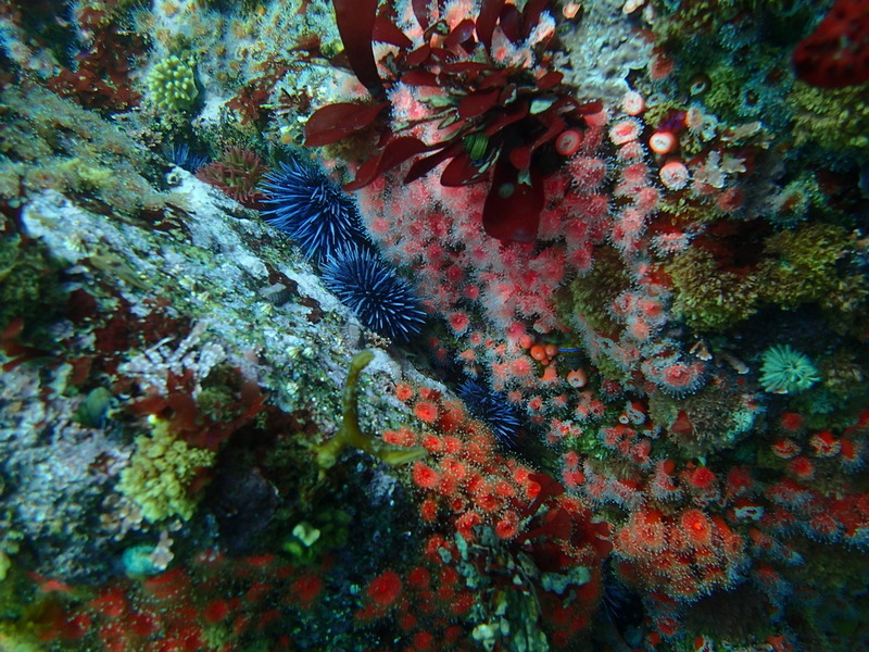 PA160339.jpg PA160339.jpg