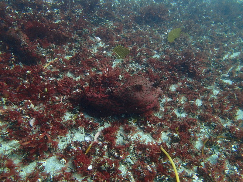 PA160345.jpg PA160345.jpg