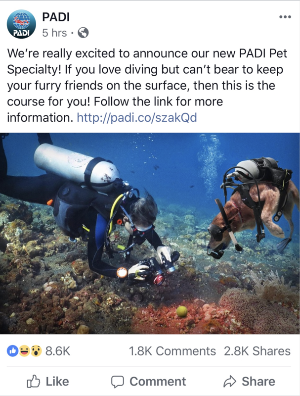 PADI April Fools Day.png