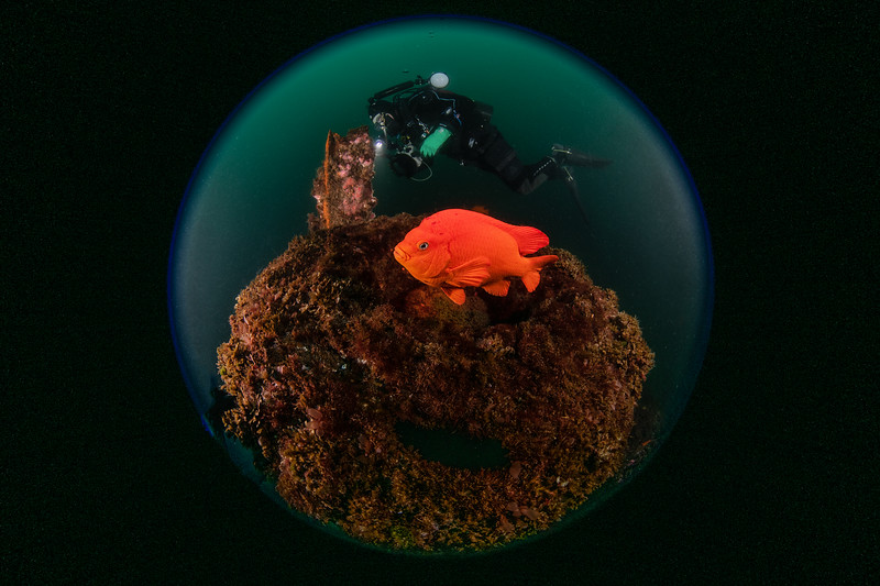 Phil%20%26%20Garibaldi%202%20DSC_5628-L.jpg Phil%20%26%20Garibaldi%202%20DSC_5628-L.jpg