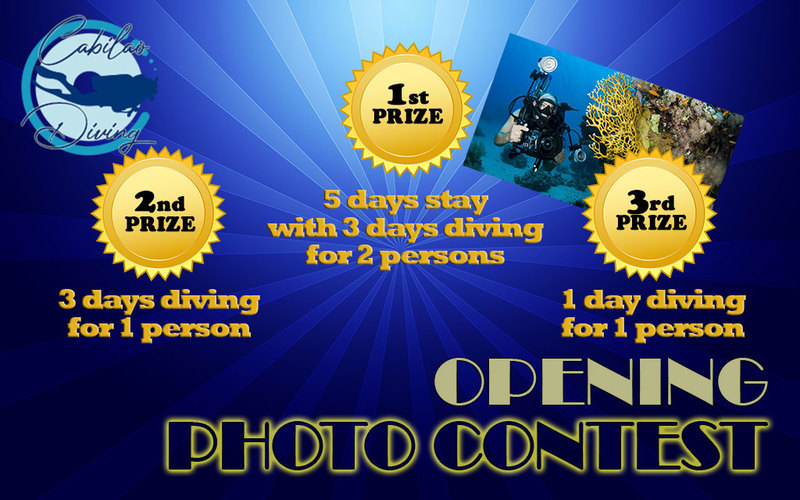 Photo-Contest-Cabilao-Diving.jpg
