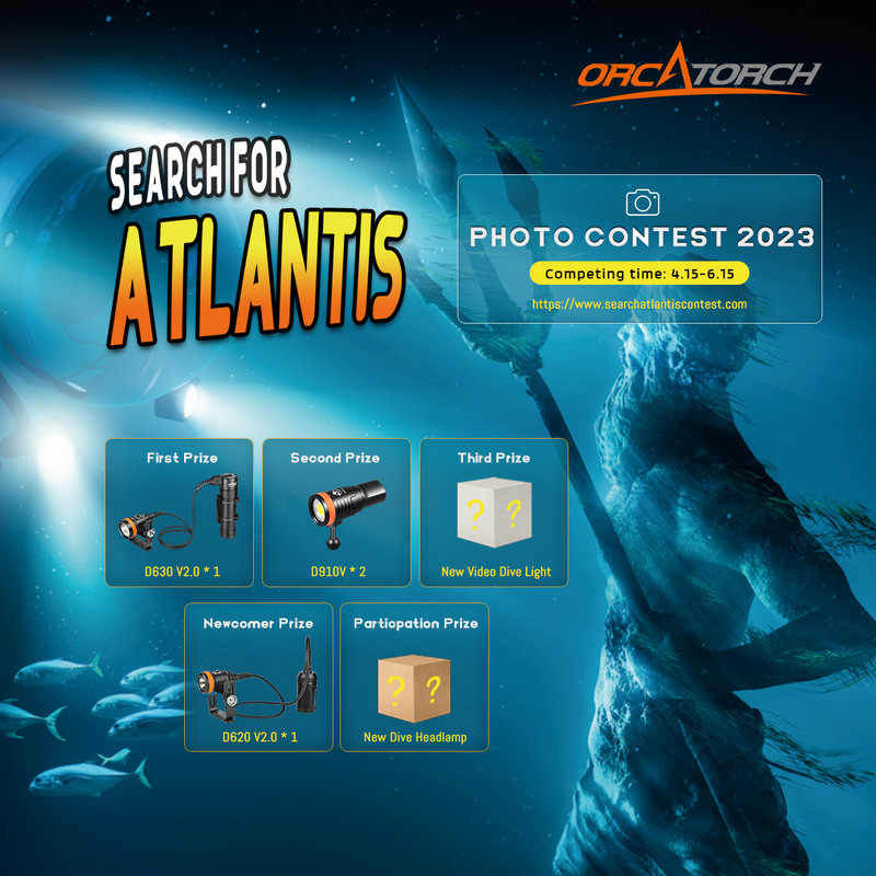 Photo contest.png Photo contest.png