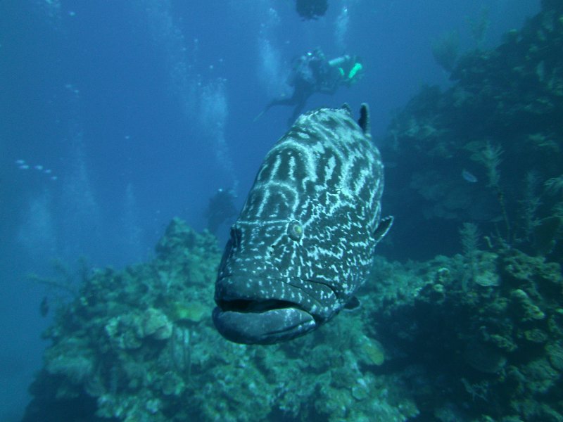 PICT0747.JPG