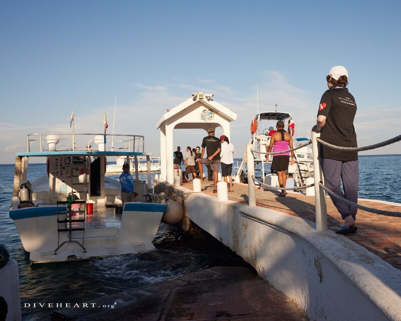 pier pix.jpg