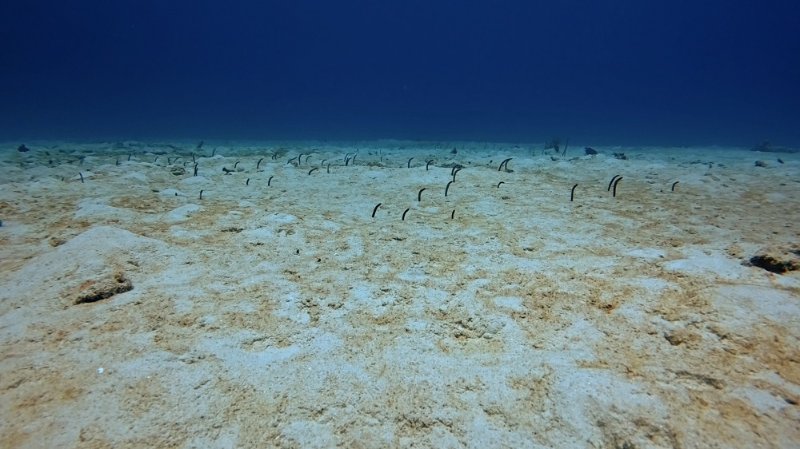 Playa Lagun_20250803_02.jpg