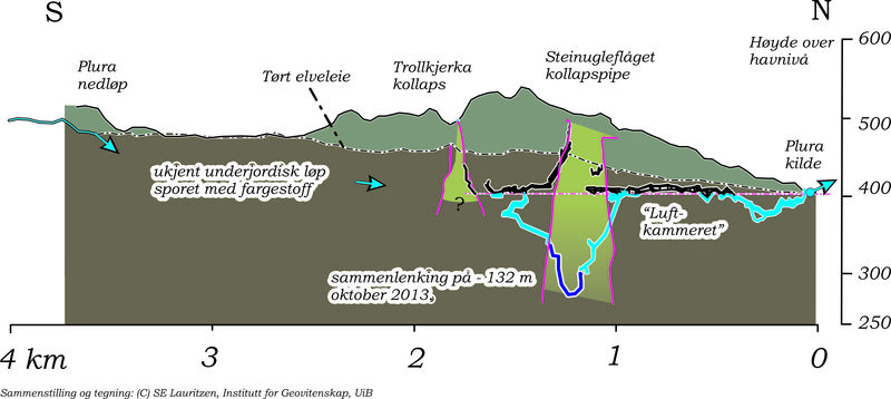 plurasystemet_1.jpg